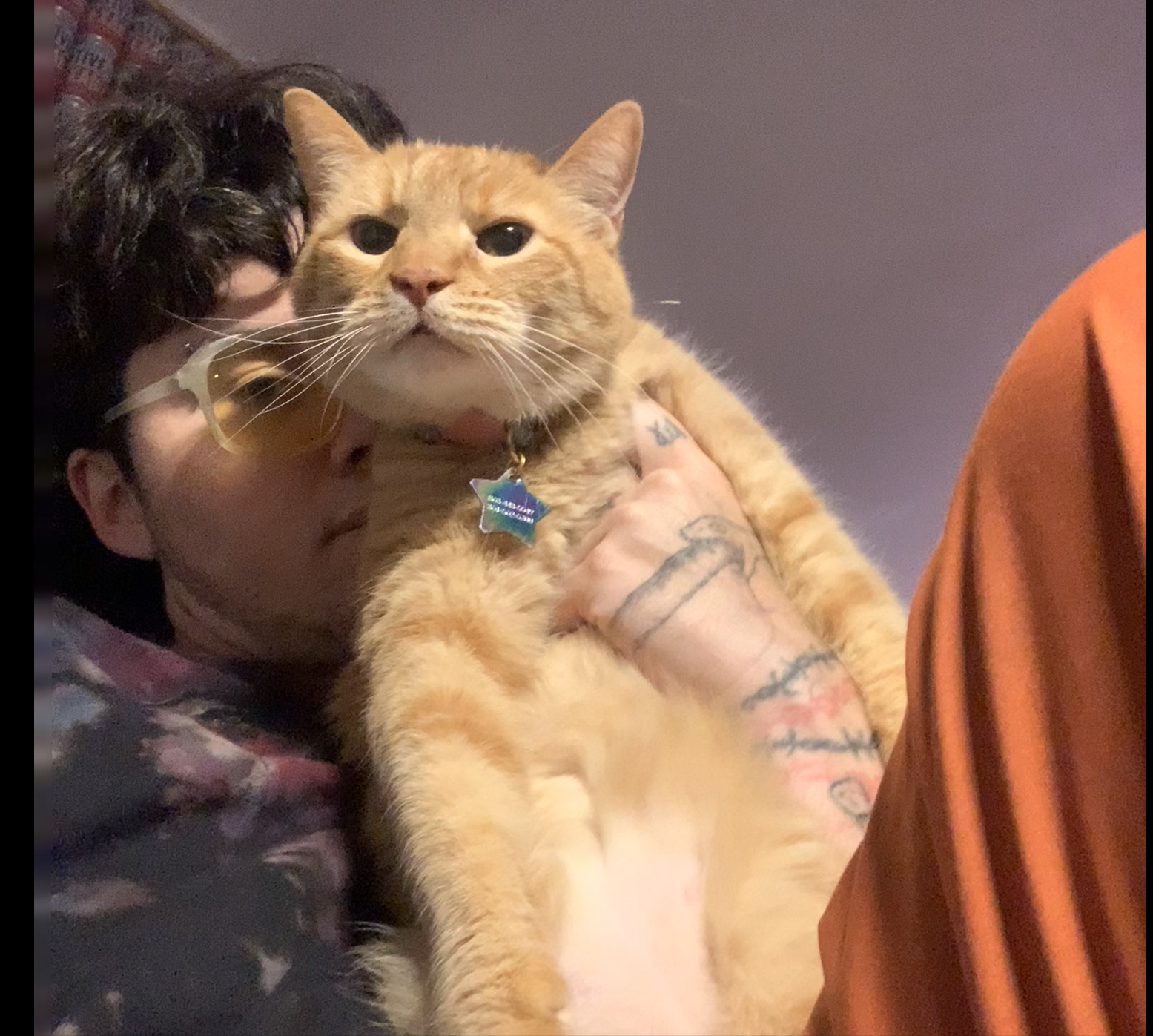 MR Kitten and I